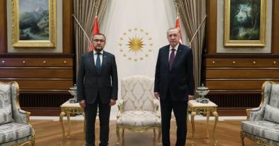 Эрдоган принял вериртельные грамоты от нового посла Украины