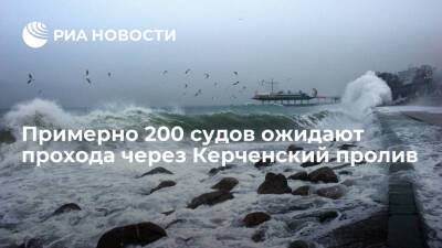 Около 200 судов ждут прохода через Керченский пролив, движение притормозилось из-за шторма