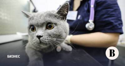 «Инвитро» запускает сеть клиник для лечения животных