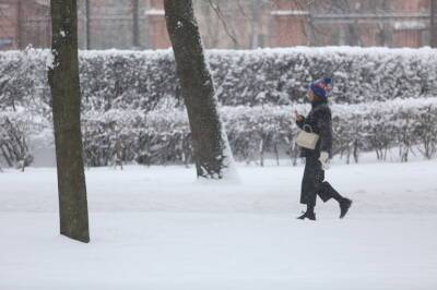 «Массированный залп» осадков образует на улицах Петербурга 20-сантиметровый снежный покров