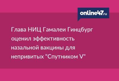 Глава НИЦ Гамалеи Гинцбург оценил эффективность назальной вакцины для непривитых "Спутником V"