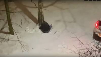 Жители Калининского района засняли отчаянного «кладоискателя», искавшего «сокровища» в снегу