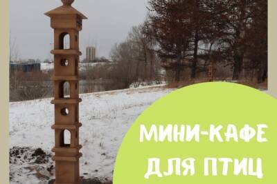 Птичье кафе появилось на острове Татышев в Красноярске