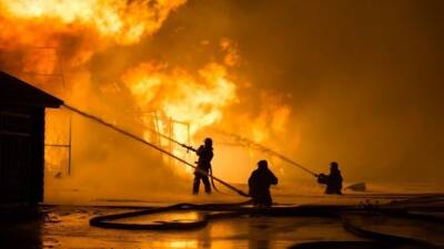 Мощный пожар произошел на винном заводе под Краснодаром — видео