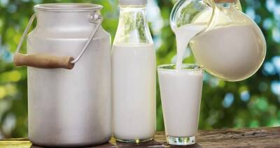 За 9 месяцев обеспечен рост производства молока