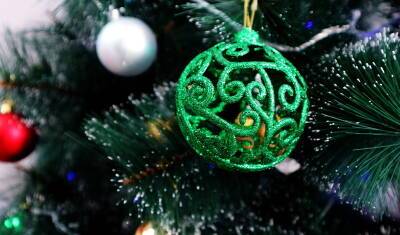 Минобразования Башкирии сообщил о порядке проведения новогодней елки Главы региона