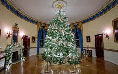 В Белом доме установили 41 рождественскую ель