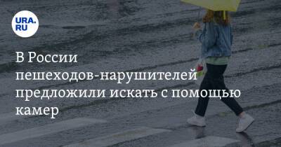 В России пешеходов-нарушителей предложили искать с помощью камер