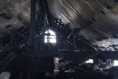 Около 2 тыс. кур и перепелок погибли при пожаре на томской птицеферме