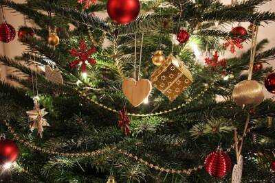 Ретейлеры сообщили о подорожании новогодних елок в России