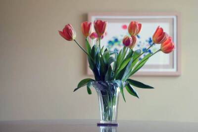 Продлить жизнь цветам в два раза: что сделать с букетом перед тем, как поставить его в вазу