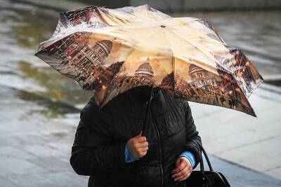 Метель в Крыму и дождь в Москве: регионы накрыла непогода