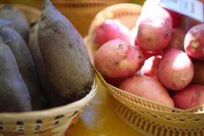 Медики назвали картофель «суперовощем» для профилактики гипертонии