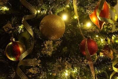 На главной площади Ставрополя появятся 34 новогодние елки