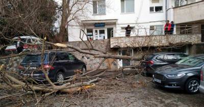 Шестеро крымчан попали в больницы после мощного шторма