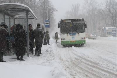 Снежная зима в Псковской области продлится до 8 декабря