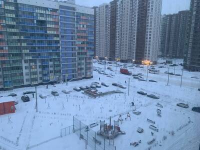 Петербуржцы рассказывают главе Комблага Пониделко, как прыгают по козьим тропам в снегу