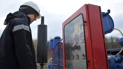В ГД назвали преждевременными «волнения» Украины из-за транзита газа