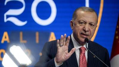 Эрдоган подтвердил намерение Турции стать посредником между РФ и Украиной