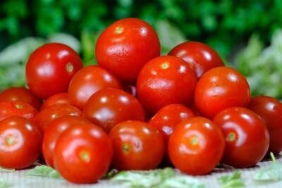 Россельхознадзор не пустил на Брянщину почти 20 тонн турецких томатов