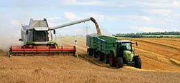 Урожай зерна в России оказался фикцией и «приписками»
