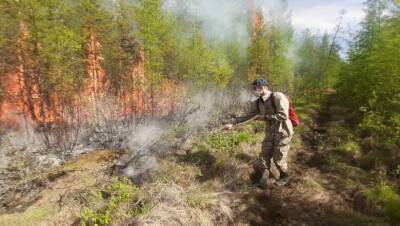 Добровольцам, которых привлекли к тушению пожаров в Якутии, не выплатили 184 млн руб.