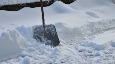 Петербуржцы пожаловались на горы снега и бездействие коммунальных служб города