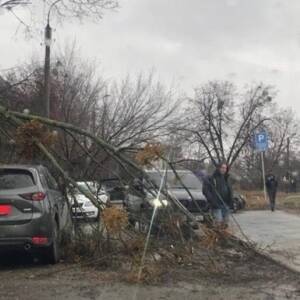 Ураган в Харькове повредил автомобиль и повалил деревья. Видео