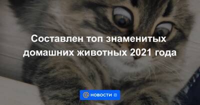 Составлен топ знаменитых домашних животных 2021 года