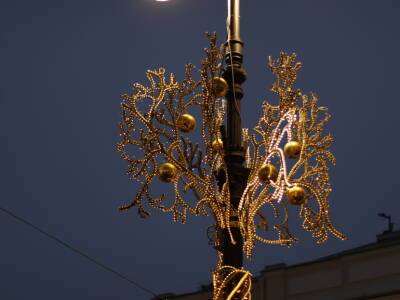 Набережные Петербурга к Новому году украсит светодиодное «северное сияние»