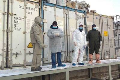 Сотни килограммов вещества для колбасы с африканской чумой завезли из Подмосковья в Сибирь