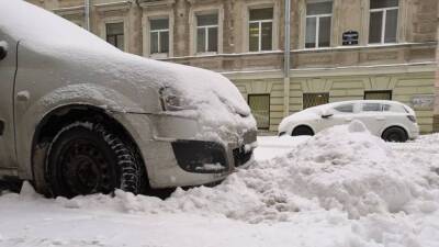 Неготовность властей Петербурга к зиме вызвала волну недовольства у жителей города