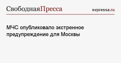 МЧС опубликовало экстренное предупреждение для Москвы