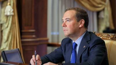 Медведев призвал не допустить появления в РФ этнических анклавов мигрантов