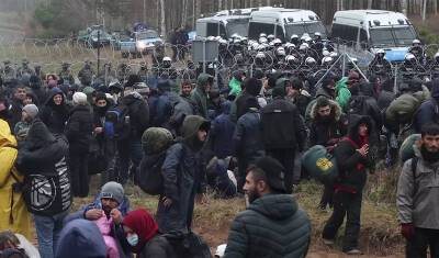 ВЦИОМ: треть россиян считает ЕС виновным в миграционном кризисе на границе Белоруссии