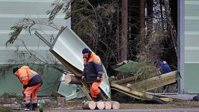Собянин предупредил москвичей об опасном для жизни усилении штормового ветра