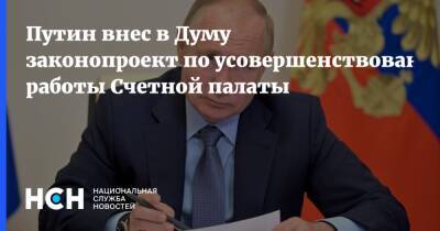 Путин внес в Думу законопроект по усовершенствованию работы Счетной палаты