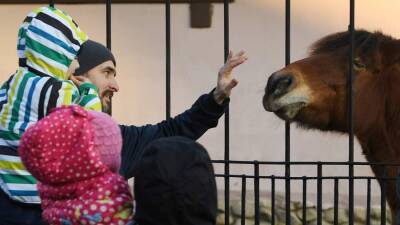 Зоопарк в Москве закрылся из-за штормового предупреждения