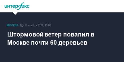 Штормовой ветер повалил в Москве почти 60 деревьев