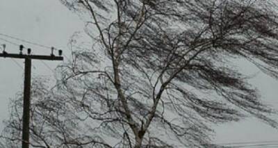 В регионе усиление ветра — объявлено штормовое предупреждение - cxid.info - Луганск