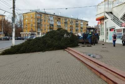 В Рязани ветер повалил новогоднюю ёлку у Полетаевского рынка
