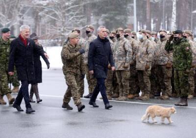 Вместе с генсеком НАТО армию Латвии в Адажи инспектировал большой рыжий кот
