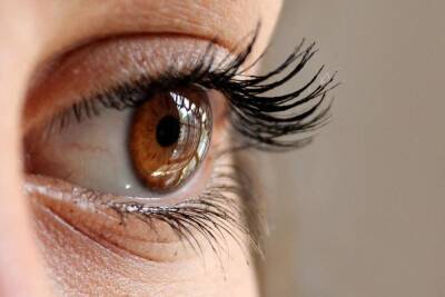 Офтальмолог назвал способ выявить скрытые болезни по глазам