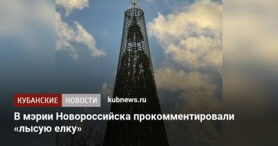 В мэрии Новороссийска прокомментировали «лысую елку»