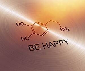 Дофамин: вот, что делает «гормон счастья» на самом деле
