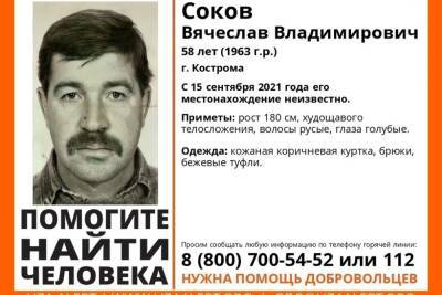 Костромские поисковики продолжают поиски мужчины, пропавшего полтора месяца назад