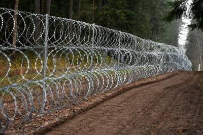 Забор против мигрантов на границе Латвии и Белоруссии убивает и калечит лосей