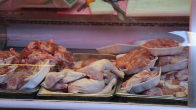 В магазинах Израиля резко подорожало куриное мясо: в чем причина