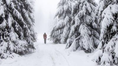 Сложные погодные условия: в Германии ожидаются снежные бури