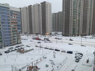 Зачем в Мурино свезли снег из Петербурга?